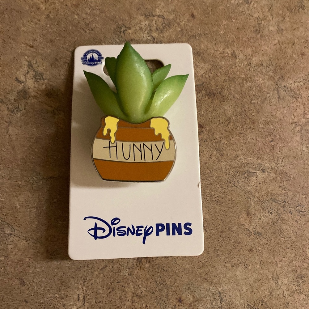 Winnie The Pooh succulent Pin